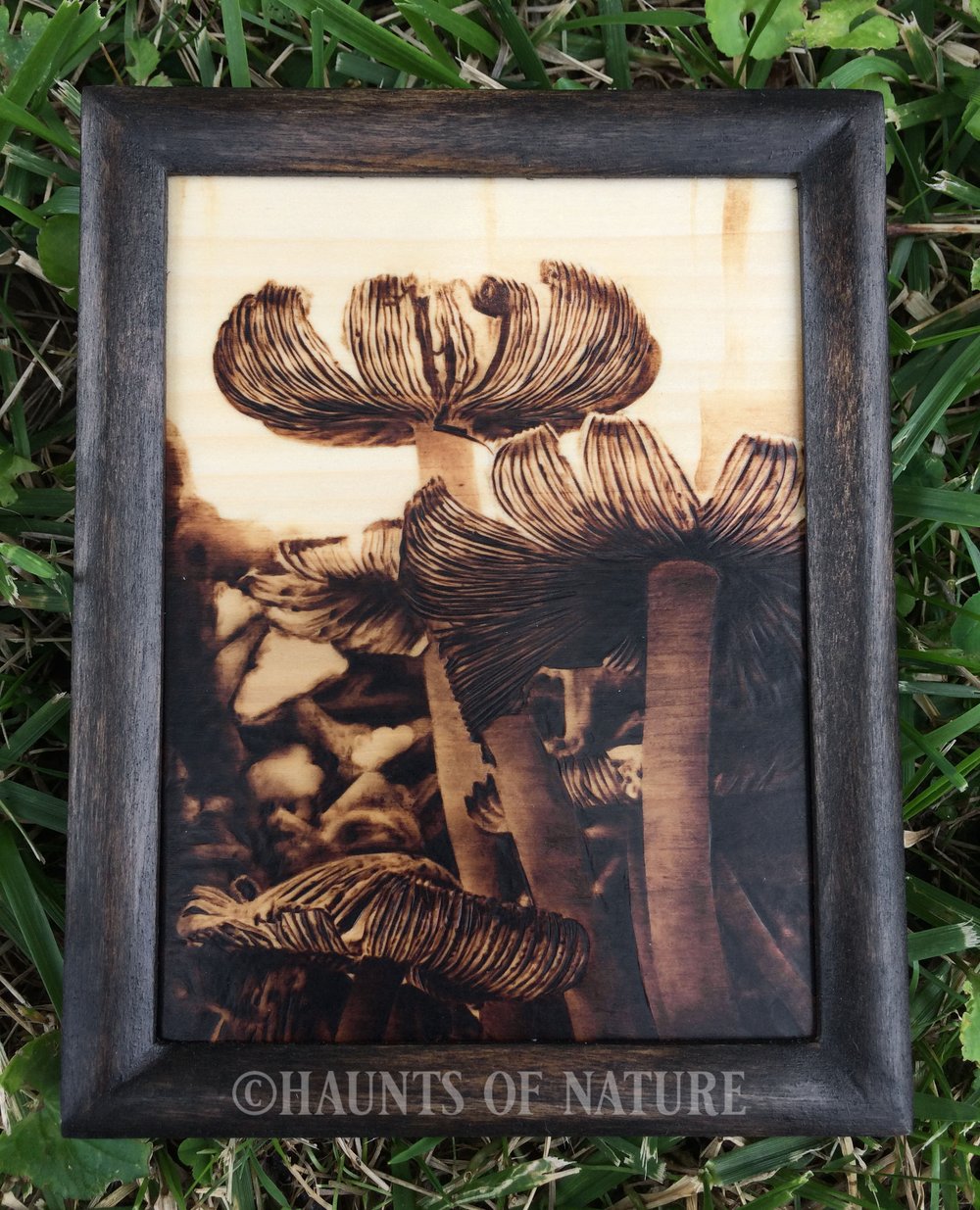 Wood Burned Lacey Inky Cap Mushrooms