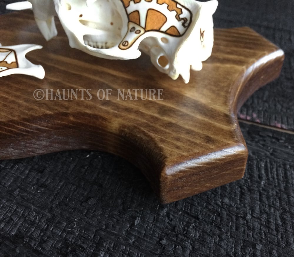 Pyrography Groundhog Skull with Steampunk Design