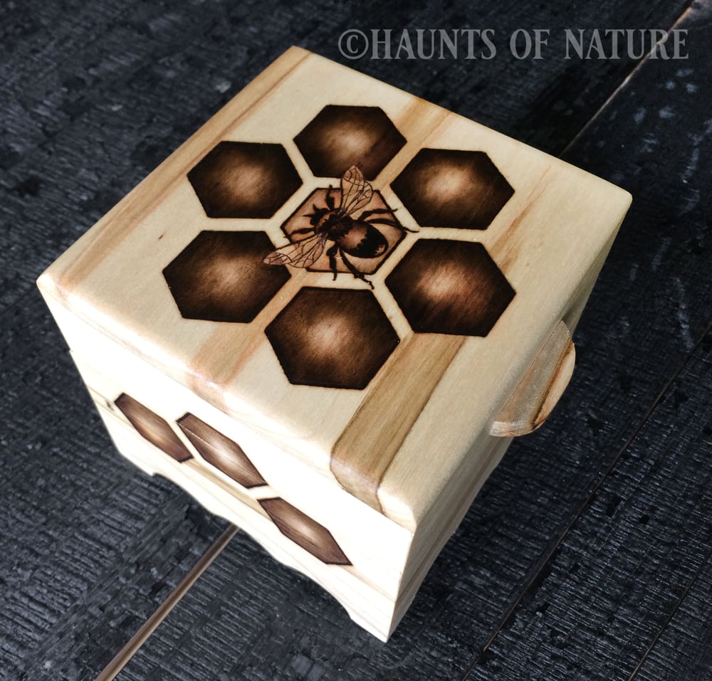 Bee and Honeycomb Trinket Box