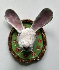 Image 1 of Summer Rabbit