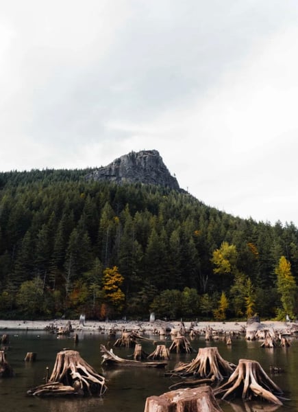 Image of Rattlesnake Lake Mini Sessions *retainer*