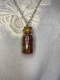 Image 1 of Small Love Attracting Gris Gris Bottle Necklace by Ugly Shyla 