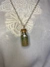 Small Money Attracting Gris Gris Bottle Necklace by Ugly Shyla 
