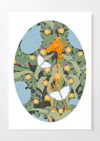 Image 1 of POSTCARD FLORE ET FAUNE DE LA FORET MAGIQUE