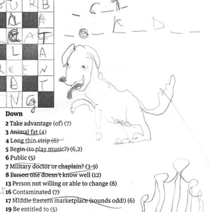 Image of Tim Spooner Crossword Drawings