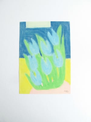 Blue Tulips 