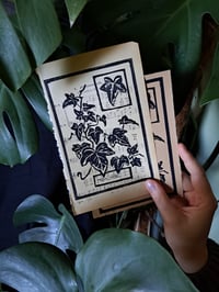 Image 1 of "Hedera helix" Limited edition print