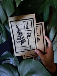 Image 1 of "Pteridium Pinetorum" Limited edition print