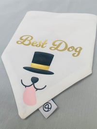 Image 2 of Best Dog