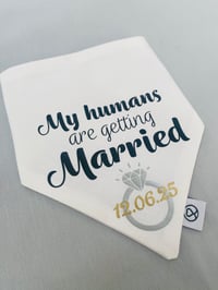 Image 2 of My Humans Are Getting Married 