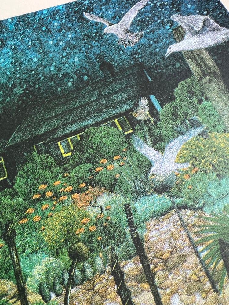 Image of Prospect Cottage - Night
