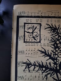 Image 3 of "Juniperus Communis" Limited edition print