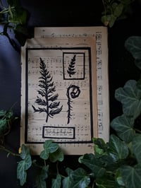 Image 2 of "Pteridium Pinetorum" Limited edition print