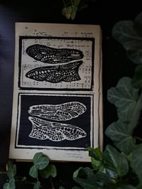 Image 2 of "Fragile" Limited edition print