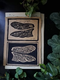 Image 4 of "Fragile" Limited edition print