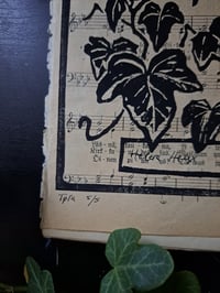 Image 3 of "Hedera helix" Limited edition print