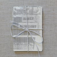 Poetry Zines (2023)