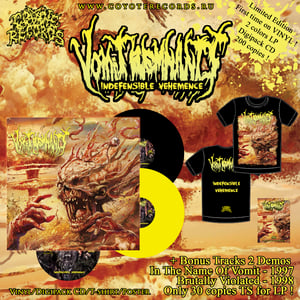 Image of VOMIT REMNANTS Indefensible Vehemence MIX LP/CD
