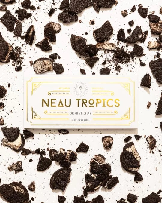 Magic Mushroom Chocolate Bar 6g - Neautropics