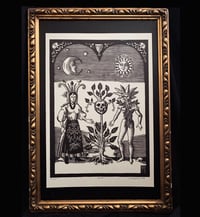 Image 4 of Of the roots and the blossoms 30x50