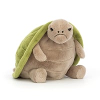 Image 1 of Timmy Turtle
