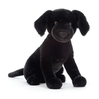 Image 1 of Pippa Black Labrador 