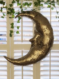 Image 1 of To the Moon and back