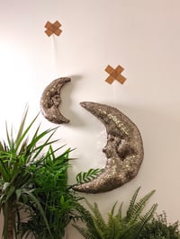 Image 3 of To the Moon and back
