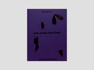 Thu Van Tran - Nous vivons dans l'éclat 
