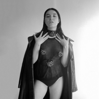 Image 4 of Floral Set (Collar, Pasties, Harness)