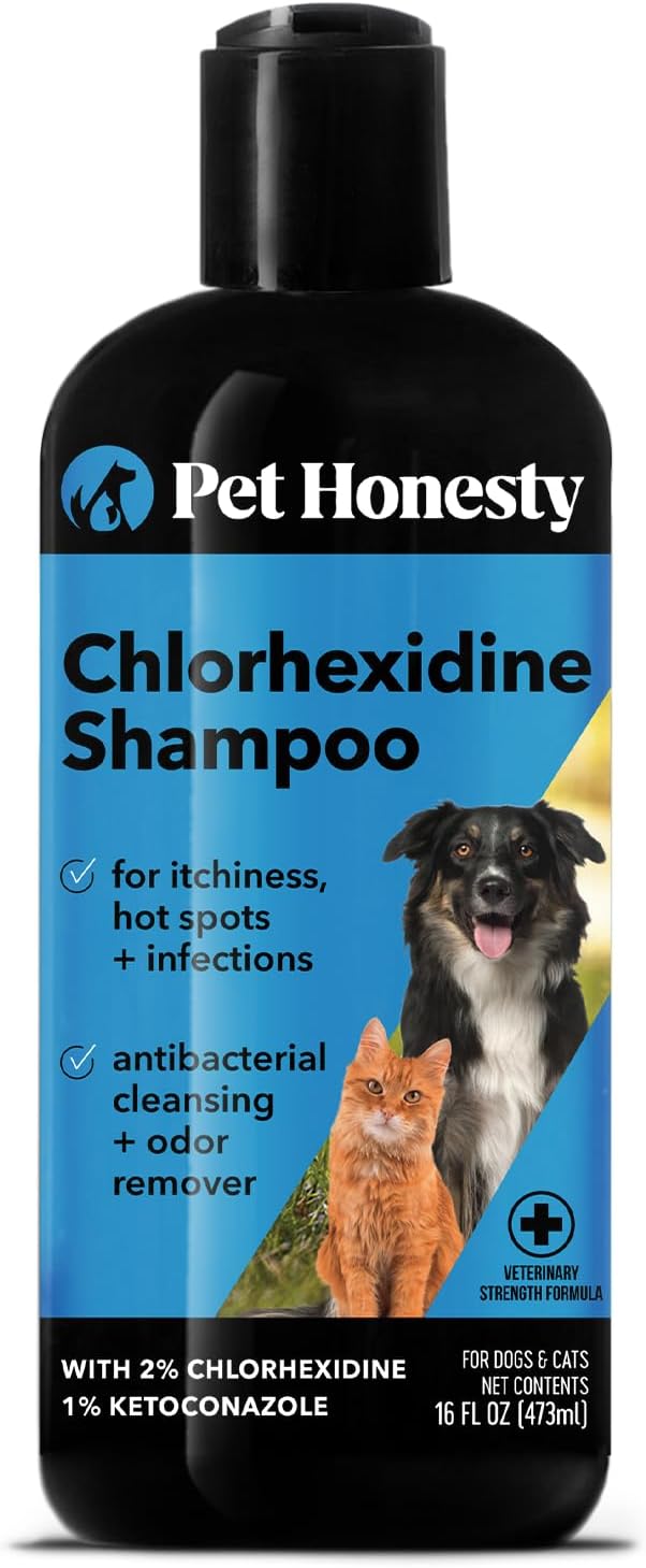 Pet Honesty Chlorhexidine Shampoo - Ketoconazole & Aloe for Dogs & Cats ...