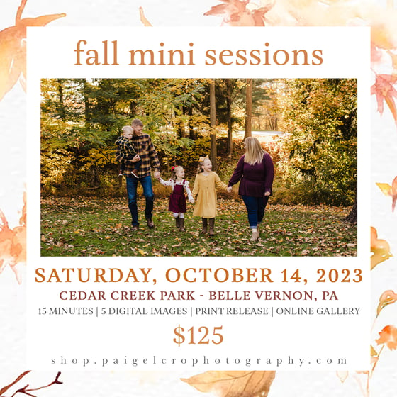 Image of Fall Mini Sessions - DAY ONE