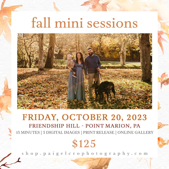 Image of Fall Mini Sessions - DAY TWO