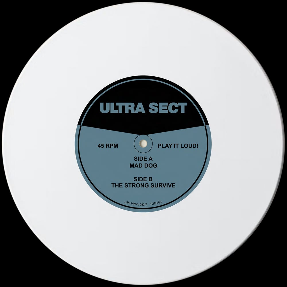 ULTRA SECT 'Martyris Victoria' 7"