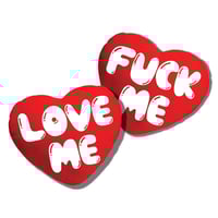 Image 1 of LOVE ME / FUCK ME PILLOW SET