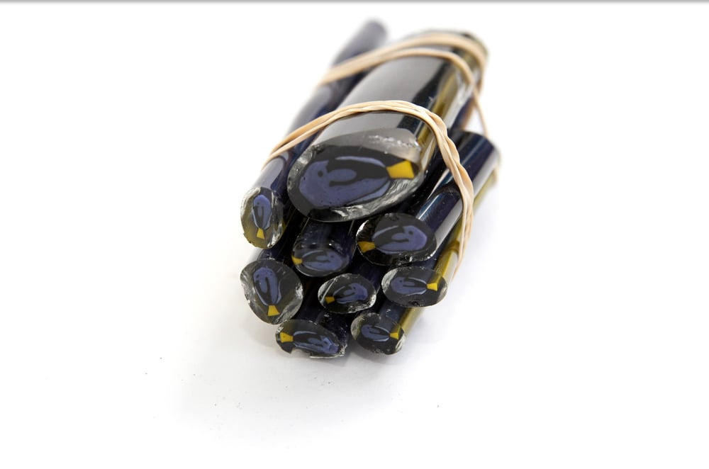 Image of 10 grams Blue Tang Murrine