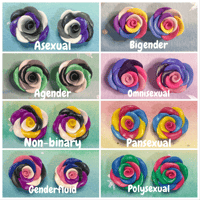 Image 3 of Rose Pride Polymer Clay Customizable Earrings *DONATION/CHARITY ITEM