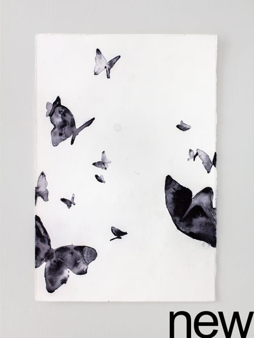 Image of shadow flying butterflies (19x28 cm)