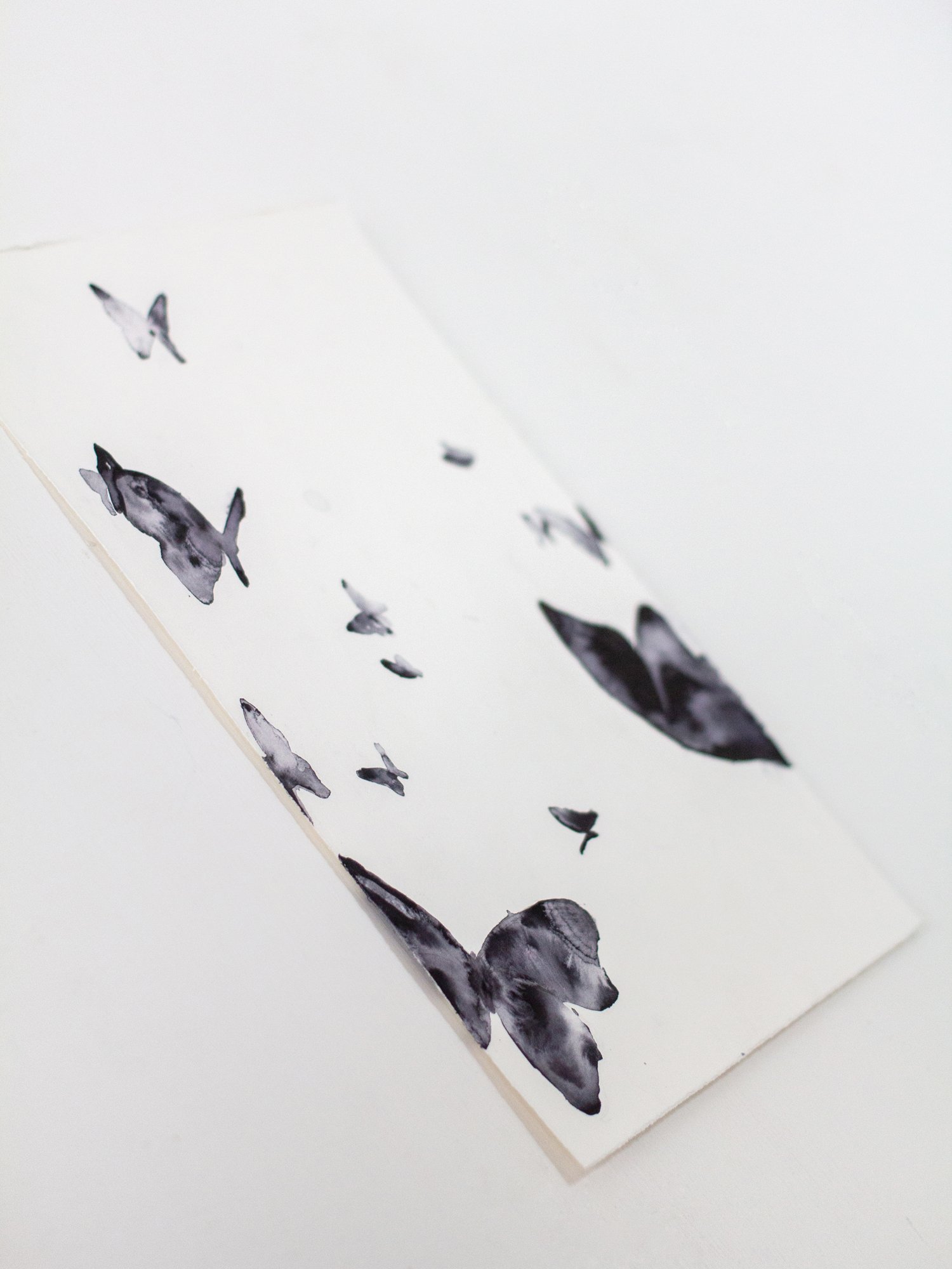 Agnes-Cecile shadow flying butterflies (19x28 cm)