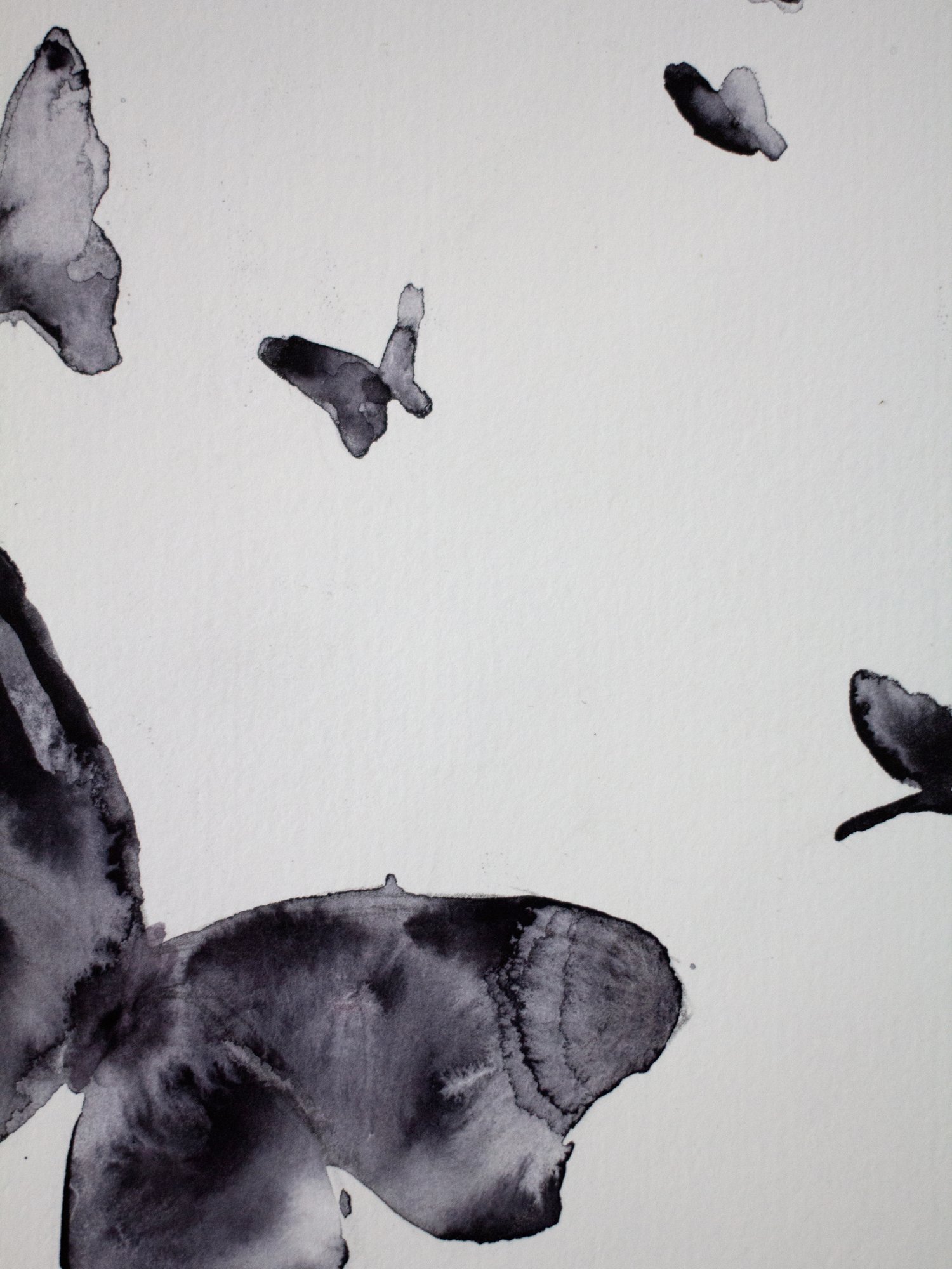Agnes-Cecile shadow flying butterflies (19x28 cm)