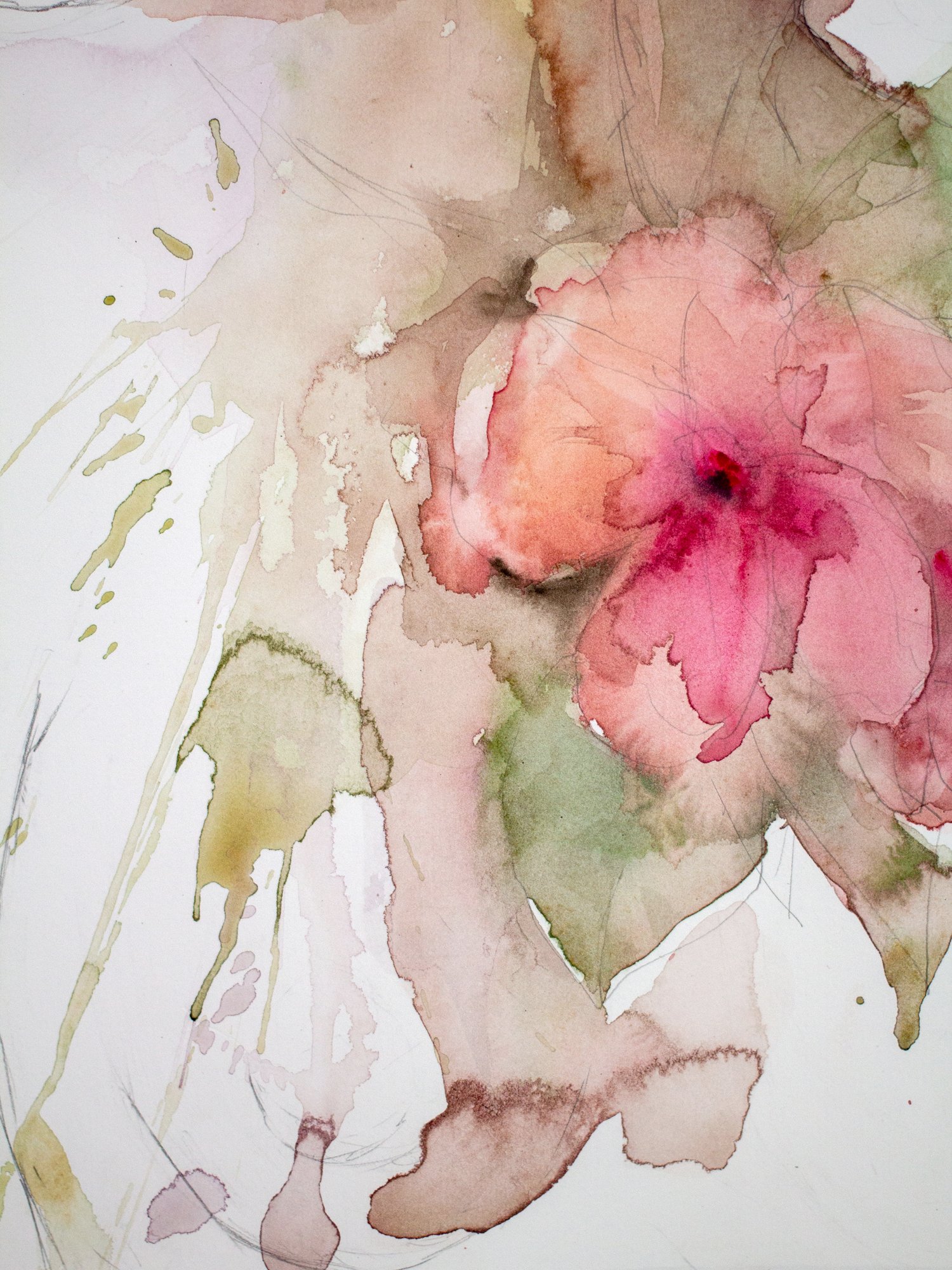 Agnes-Cecile hibiscus (38x56 cm)