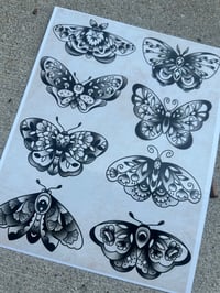 Image 3 of Butterfly prints (8x10)