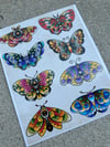 Butterfly prints (8x10)