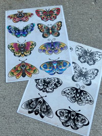 Image 1 of Butterfly prints (8x10)