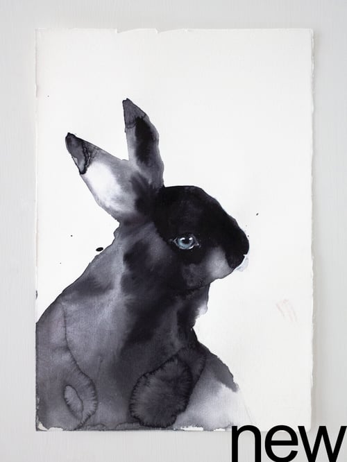 Image of shadow rabbit (19x28 cm) check