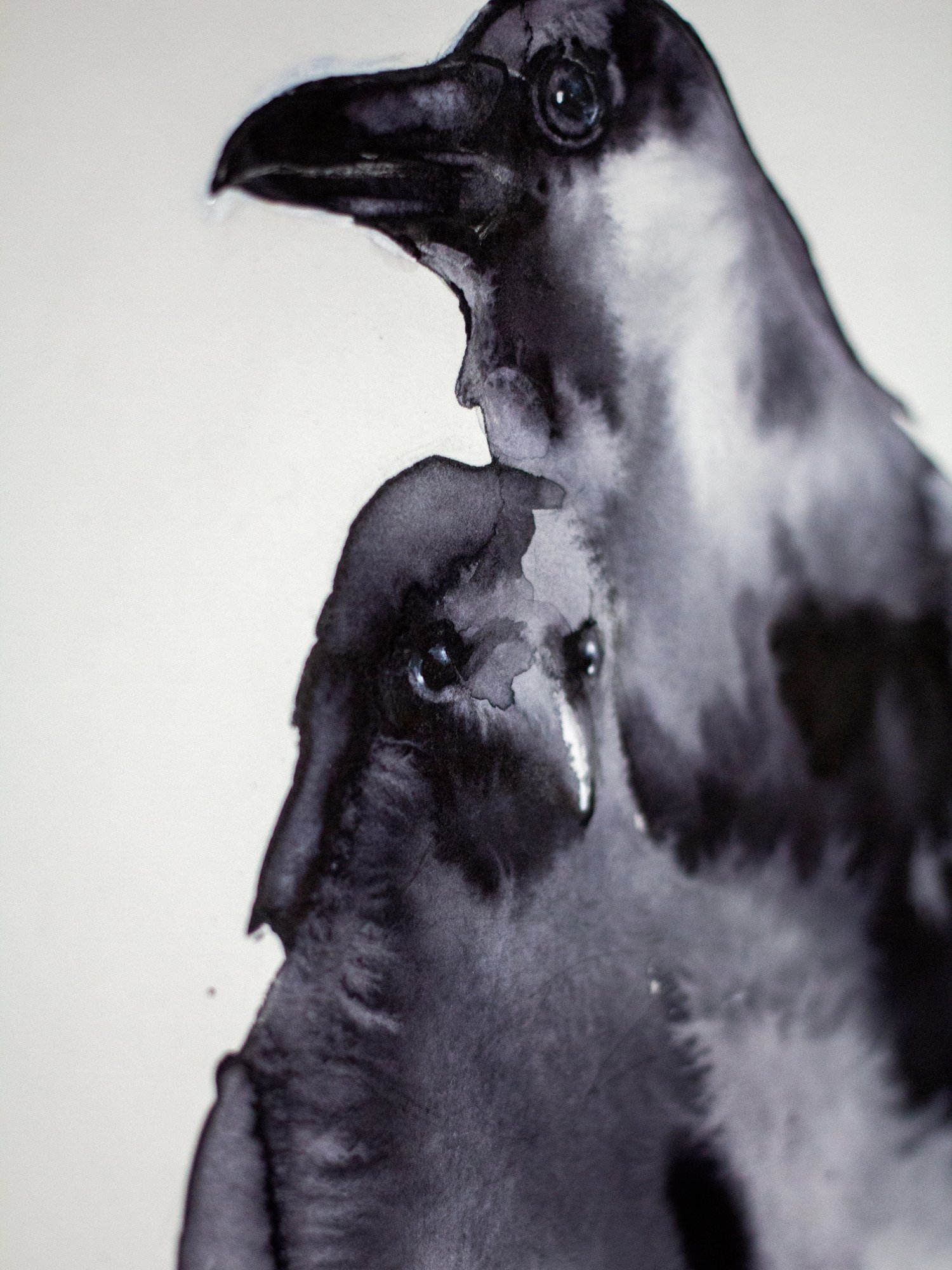Agnes-Cecile shadow crows (19x28 cm)
