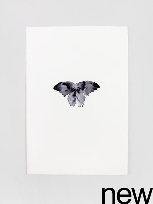 Image of shadow butterfly (19x28 cm) check