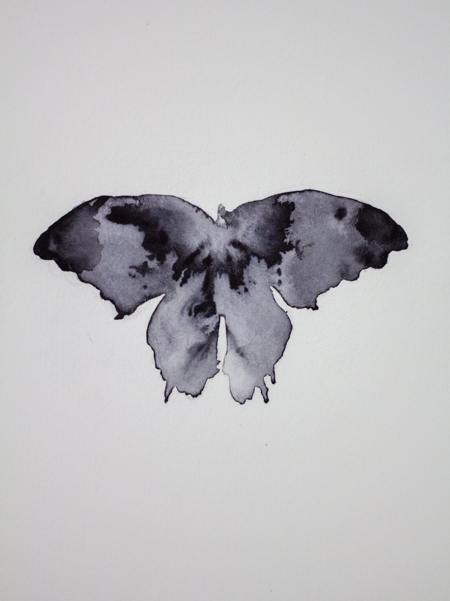 Agnes-Cecile shadow butterfly (19x28 cm) 