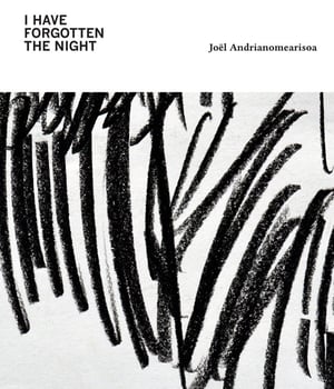 Joël Andrianomearisoa - I Have Forgotten The Night 