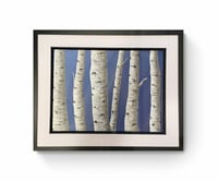 Image 1 of 'Silver Birches'